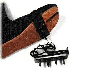 Bitmap Image