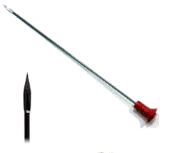 Bitmap Image